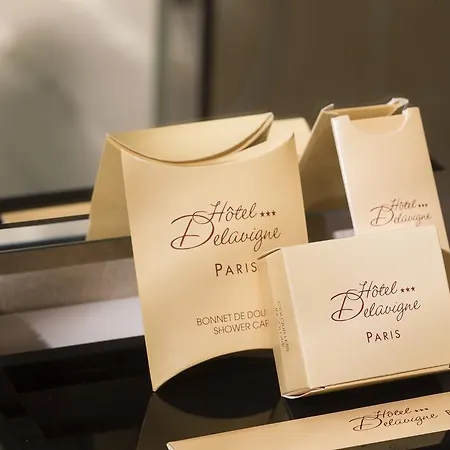Hotel Delavigne Parigi
